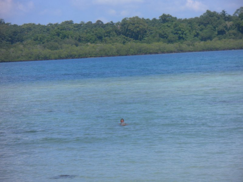 Image SAM_5444.JPG