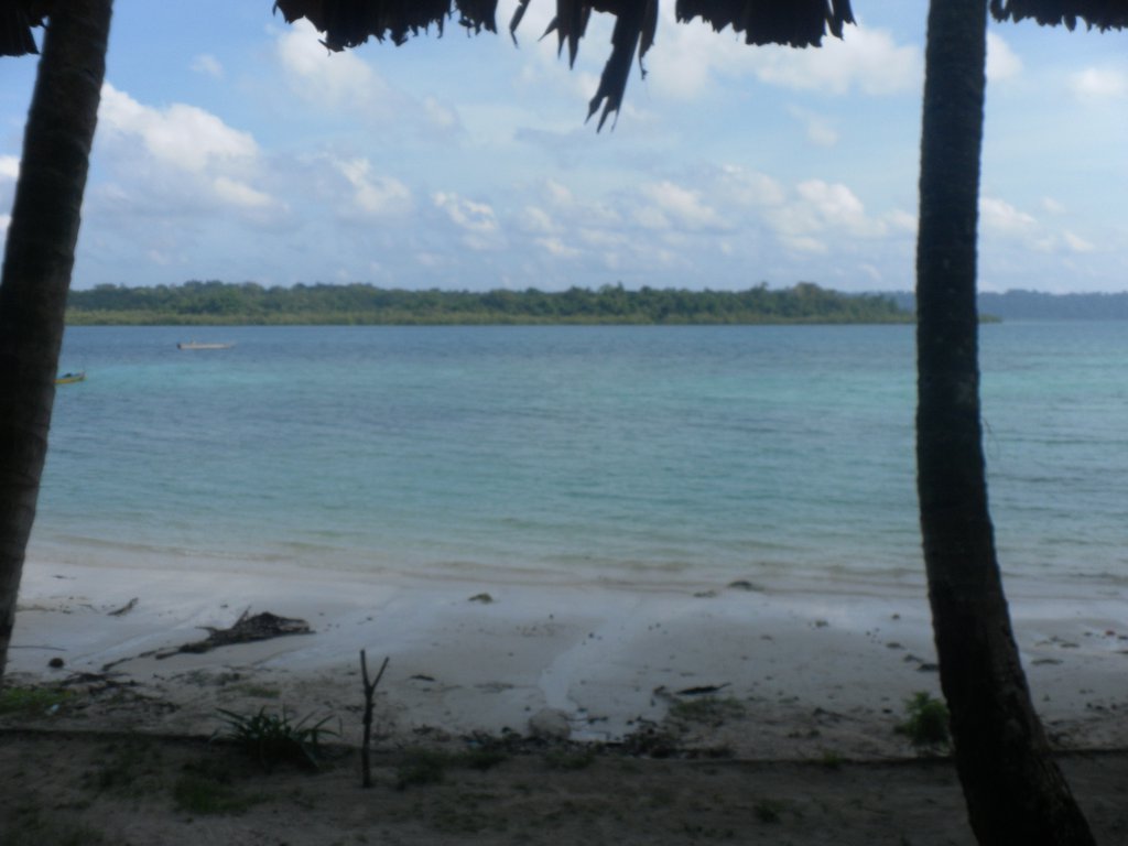 Image SAM_5472.JPG