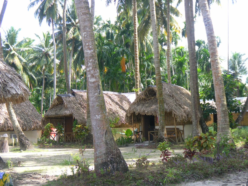 Image SAM_5483.JPG
