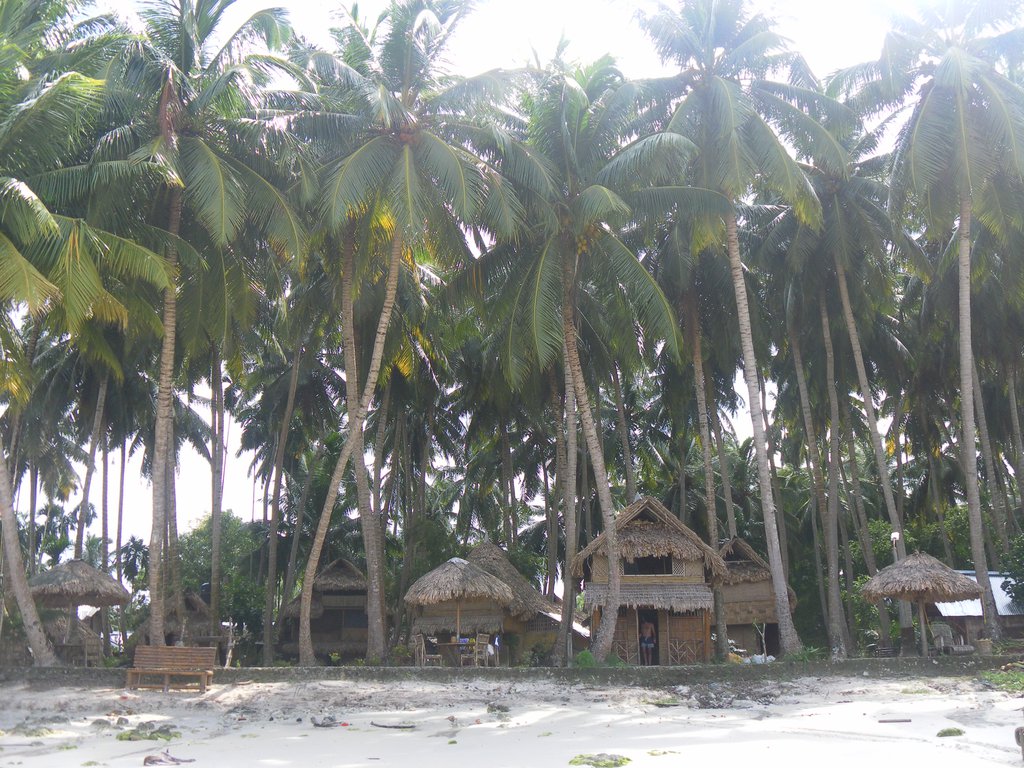 Image SAM_5484.JPG
