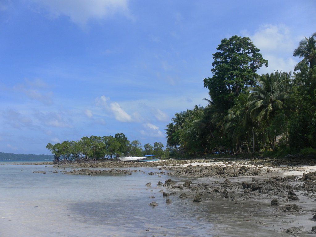 Image SAM_5485.JPG