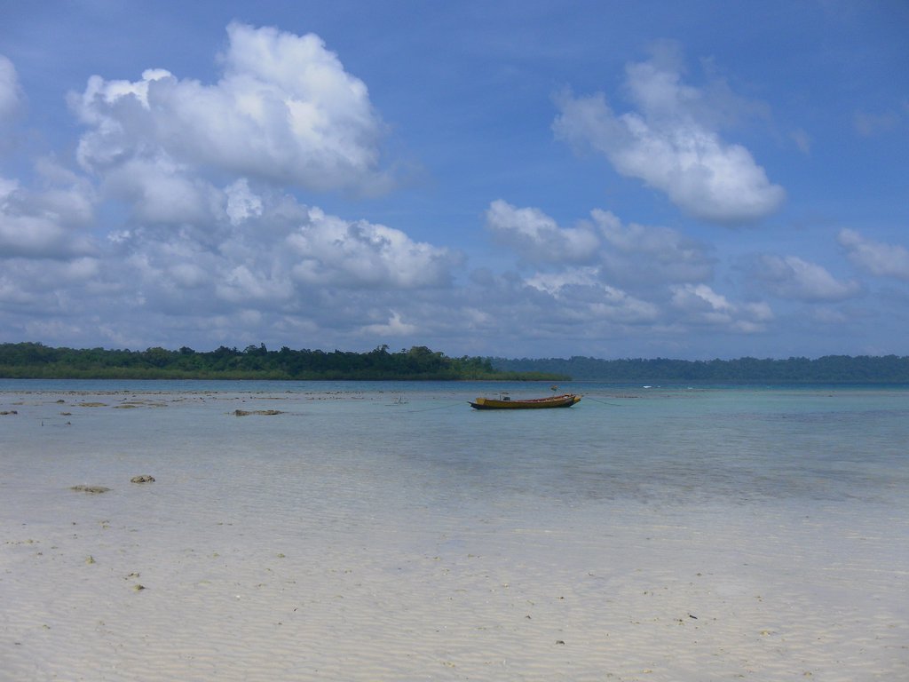 Image SAM_5486.JPG