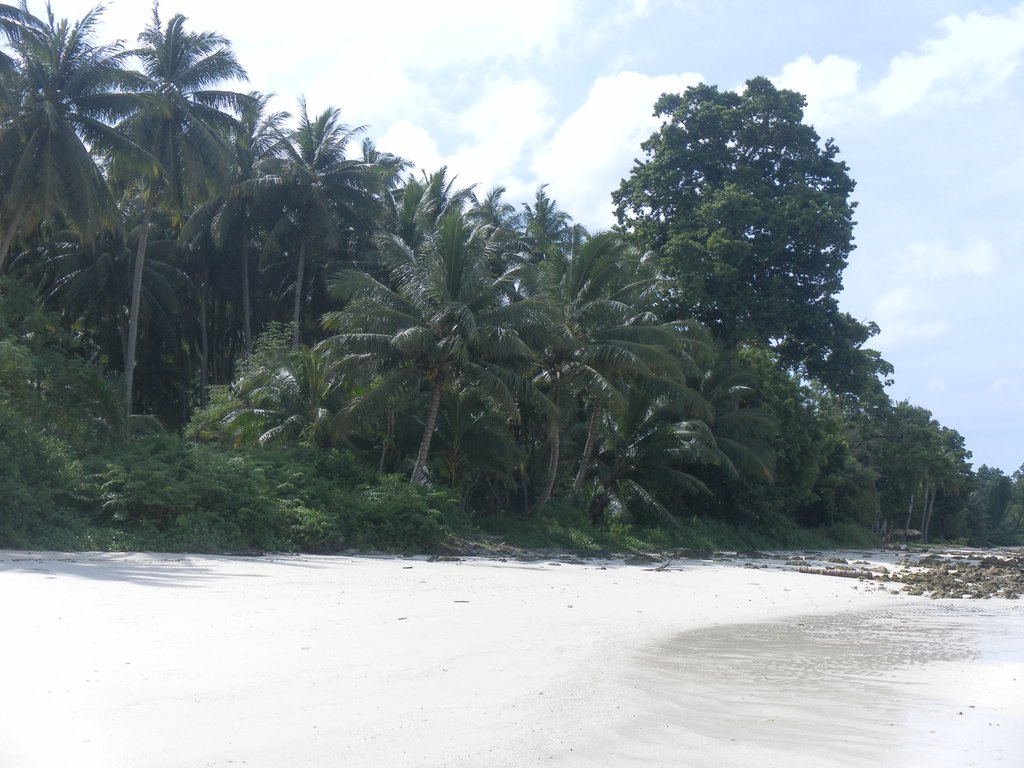 Image SAM_5488.JPG