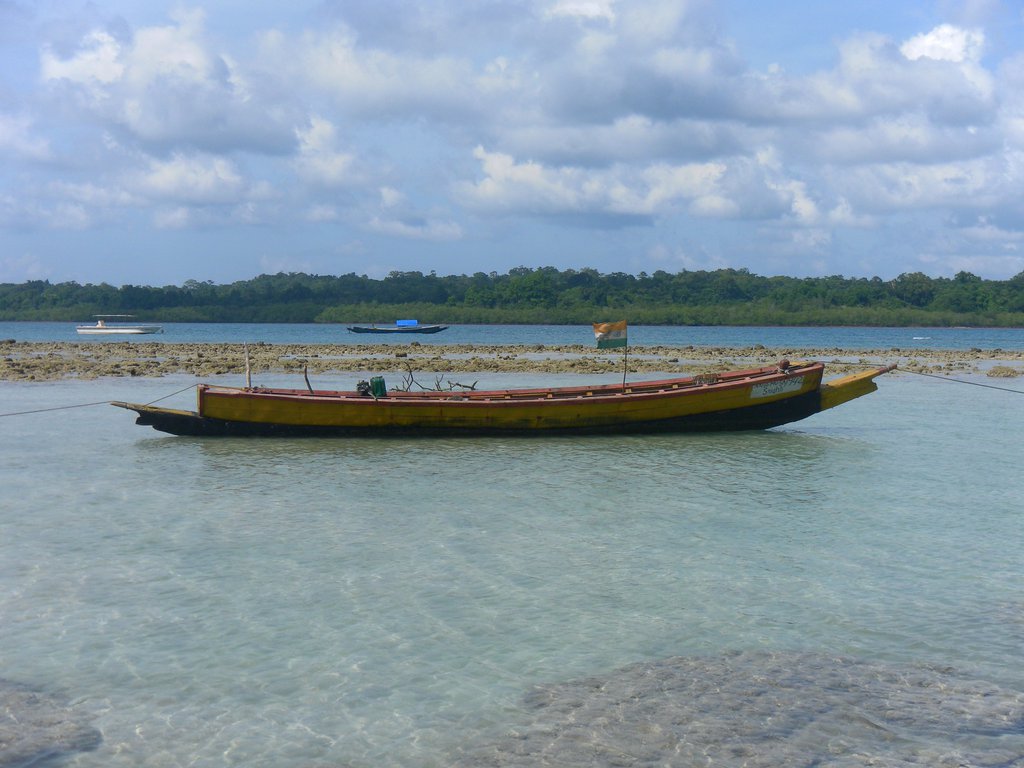 Image SAM_5493.JPG