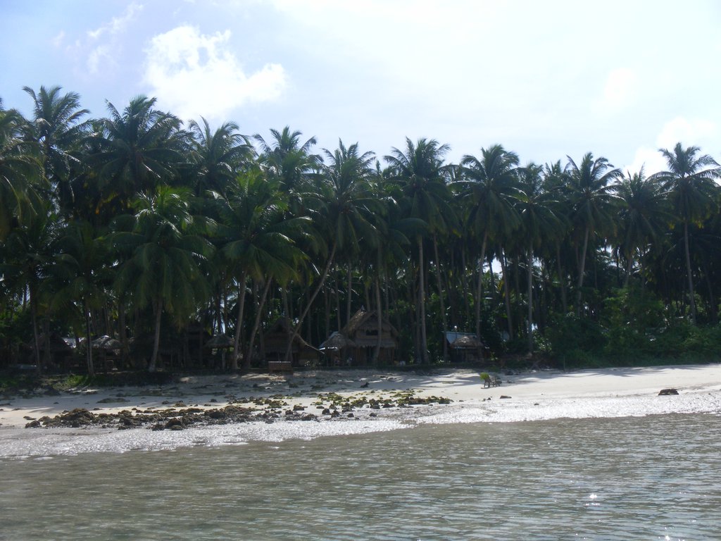 Image SAM_5494.JPG