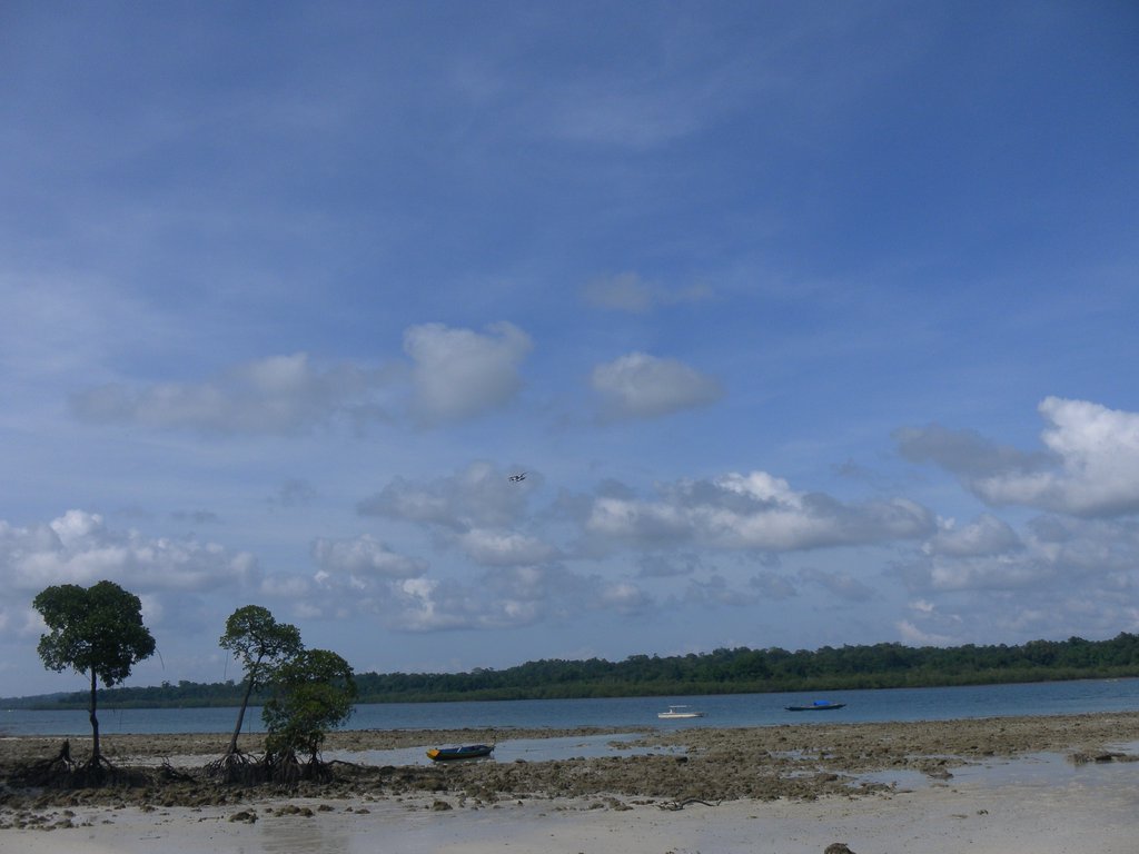 Image SAM_5498.JPG