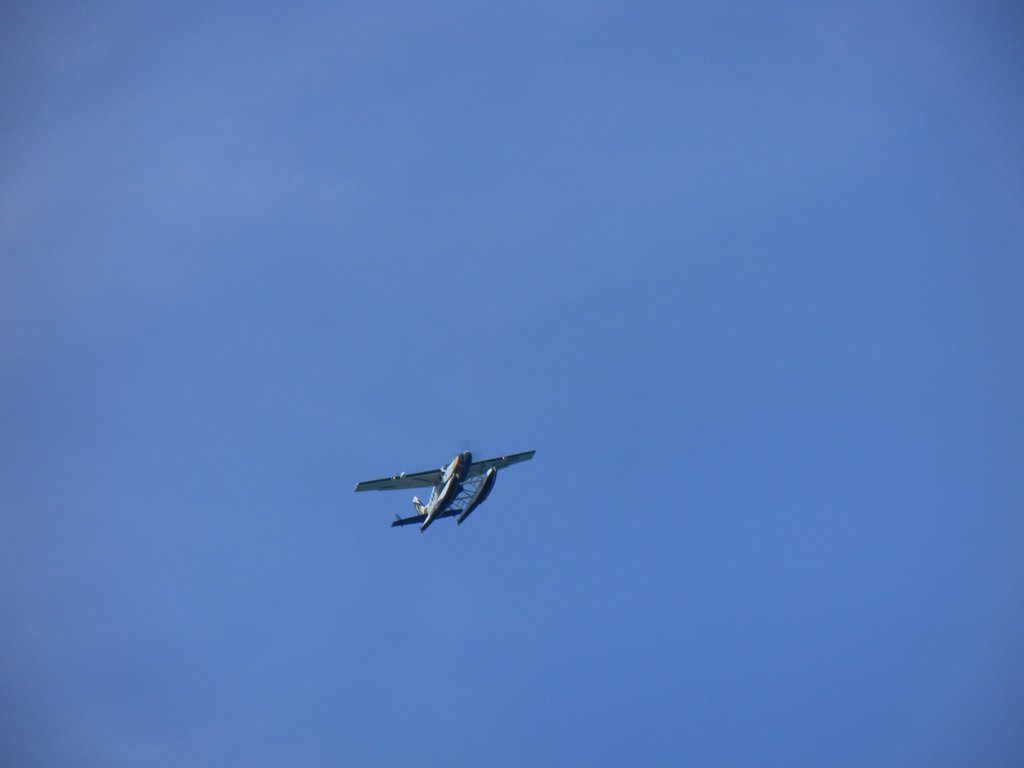 Image SAM_5499.JPG