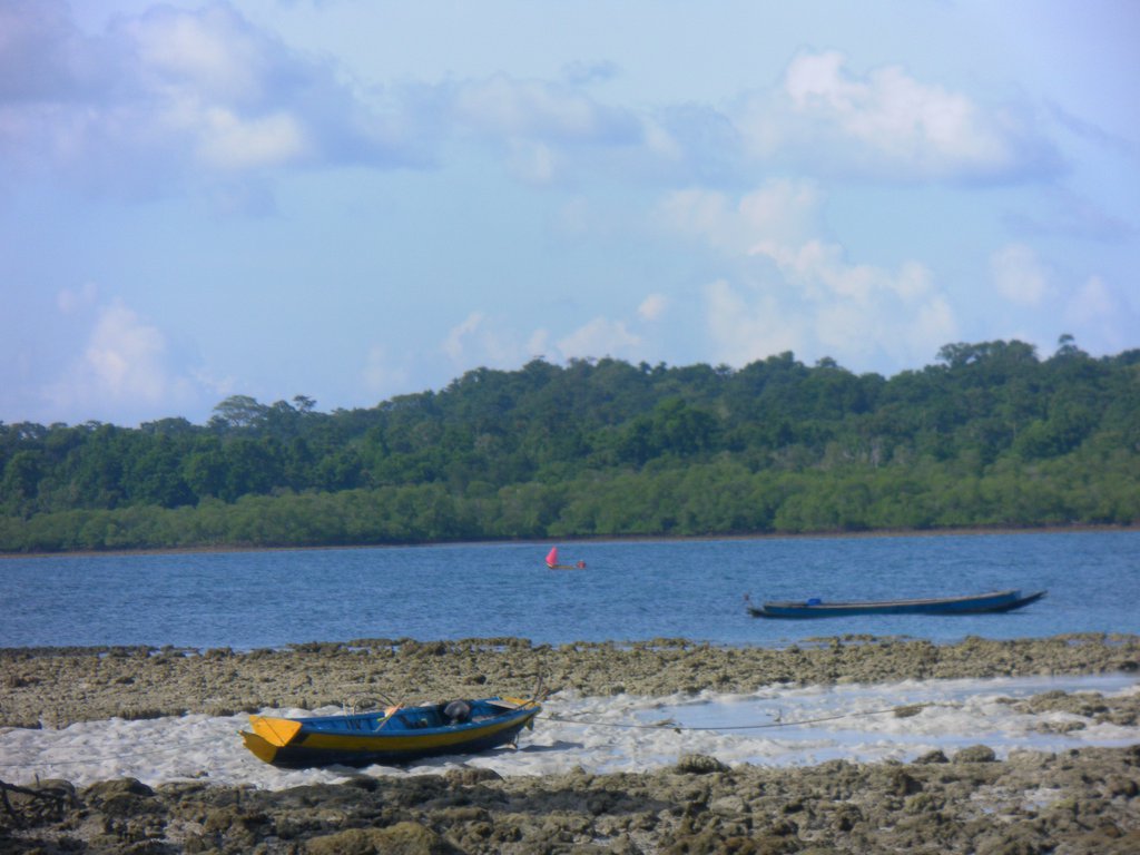 Image SAM_5504.JPG