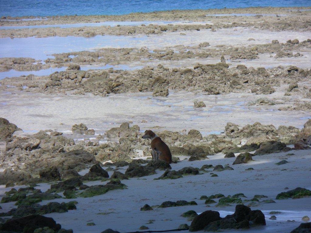 Image SAM_5505.JPG