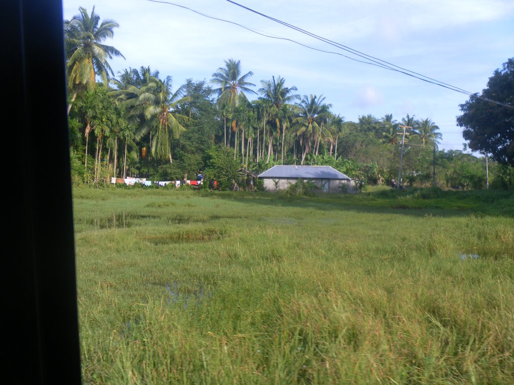 Image SAM_5516.JPG