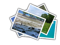 Andaman album picture