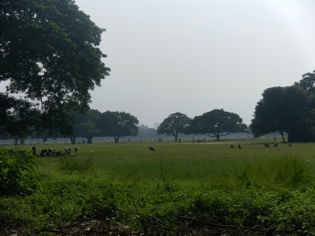 Image SAM_4844.JPG