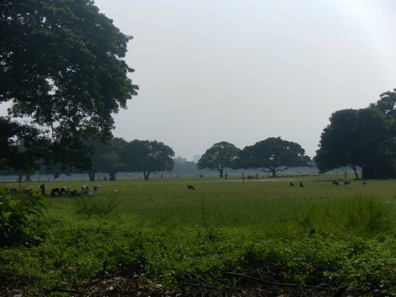 Image SAM_4844.JPG