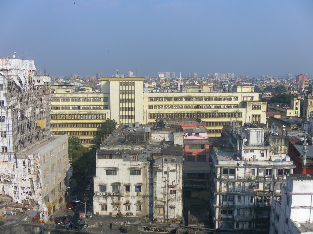 Image SAM_4867.JPG