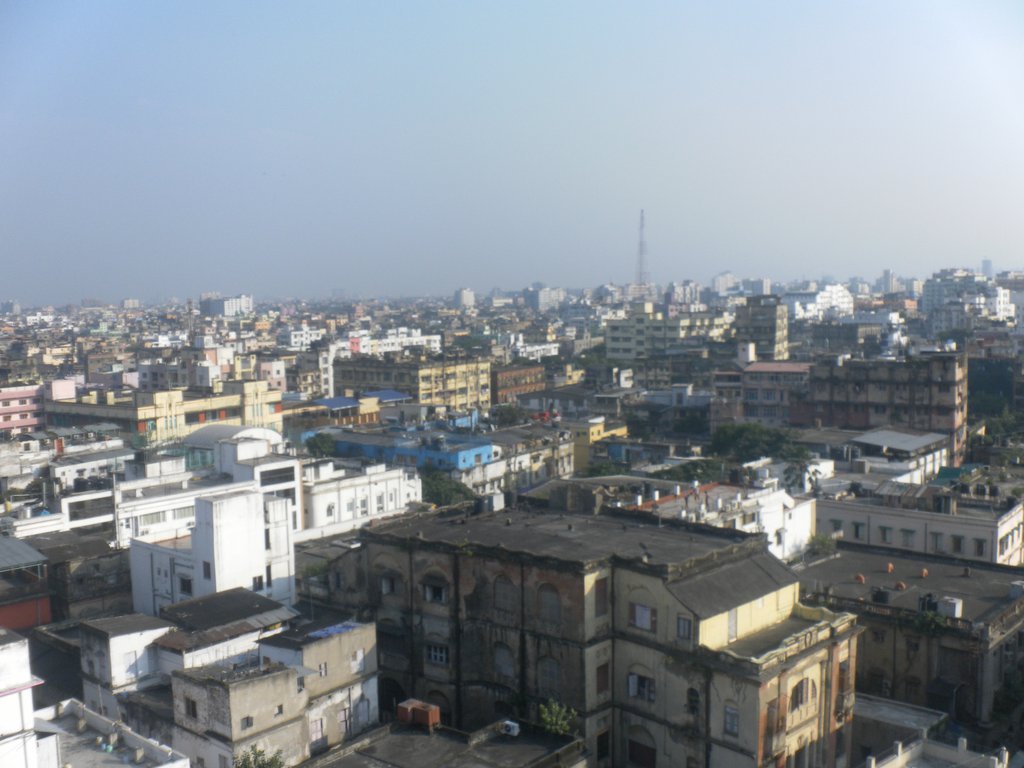 Image SAM_4868.JPG