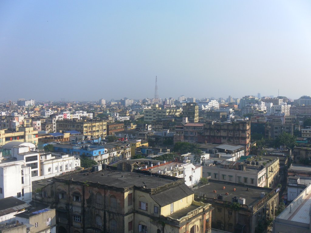 Image SAM_4869.JPG