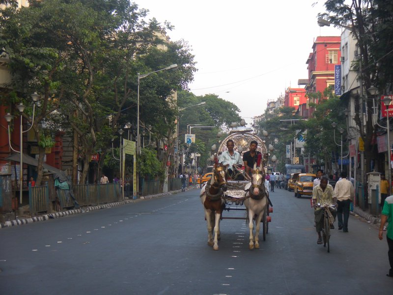 Image SAM_4886.JPG
