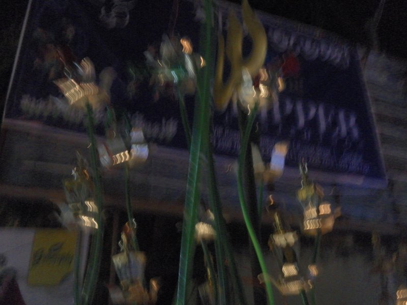 Image SAM_4902.JPG