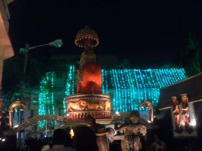 Image SAM_4920.JPG
