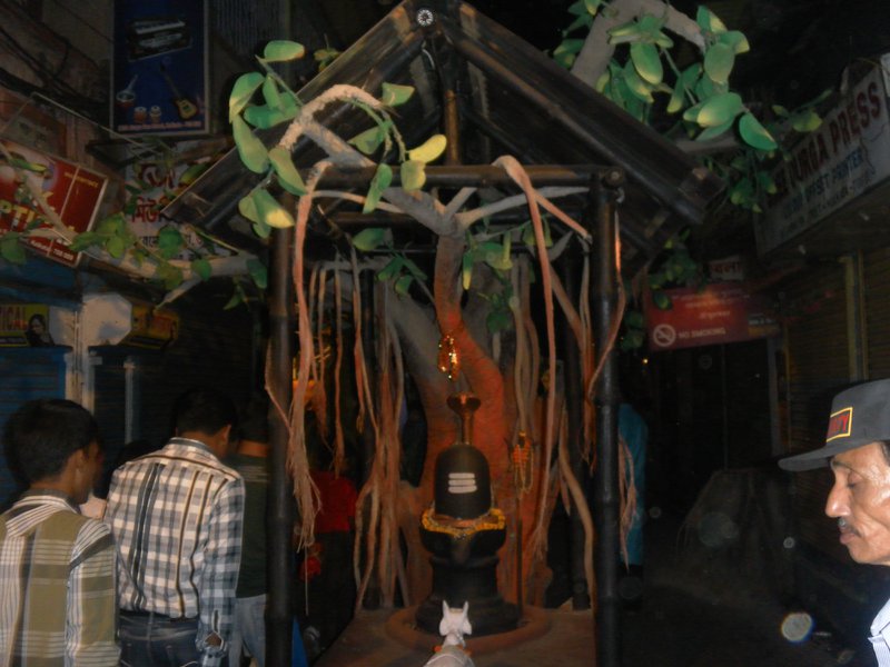 Image SAM_4971.JPG