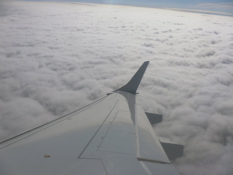 Image SAM_3923.JPG