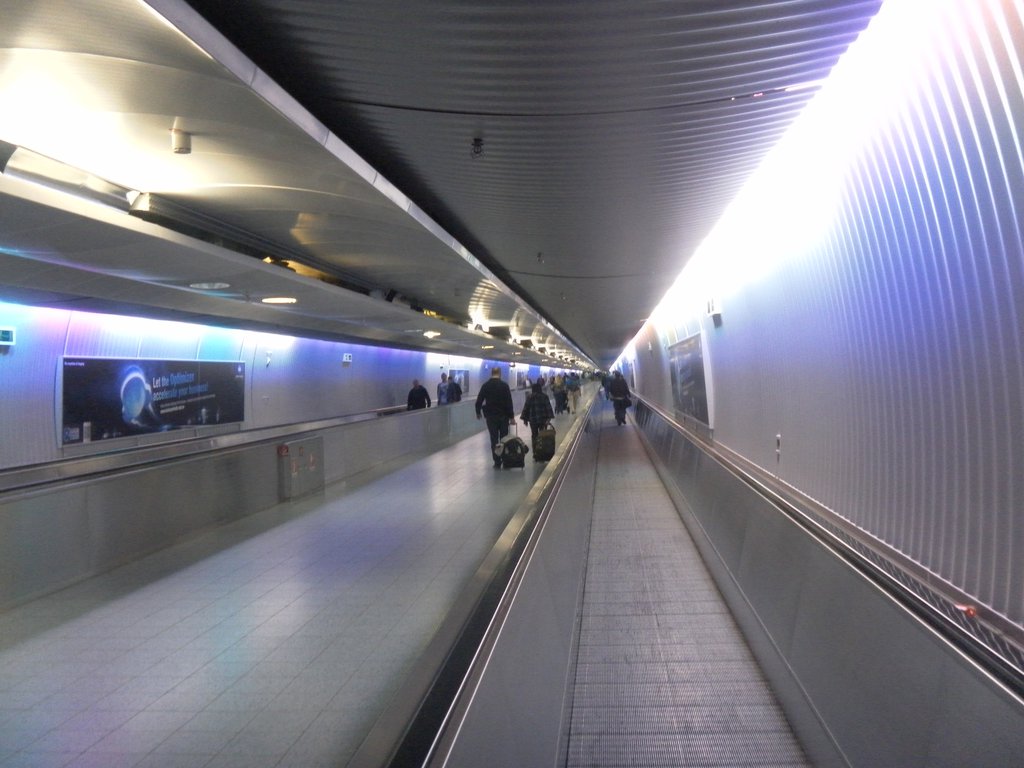 Image SAM_3925.JPG