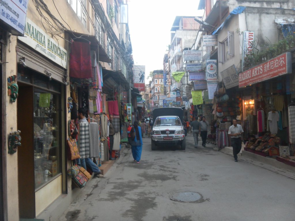 Image SAM_3939.JPG