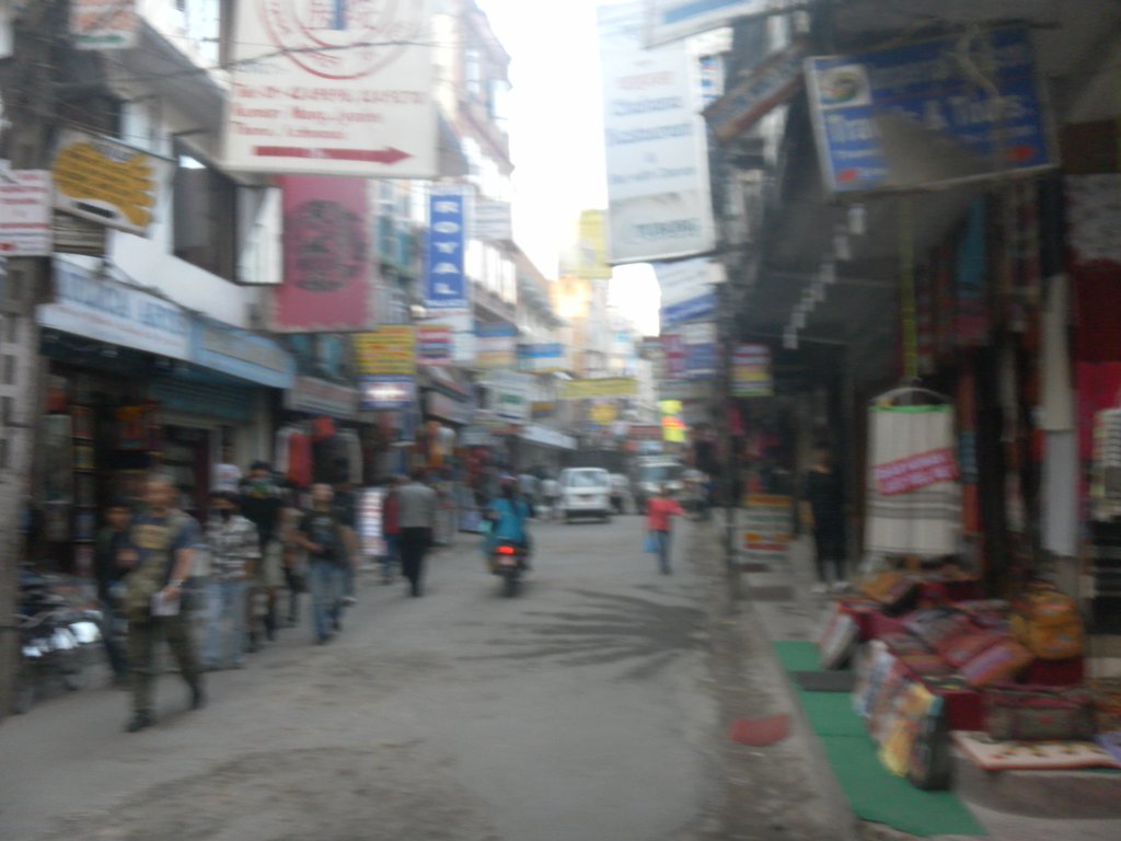 Image SAM_3940.JPG
