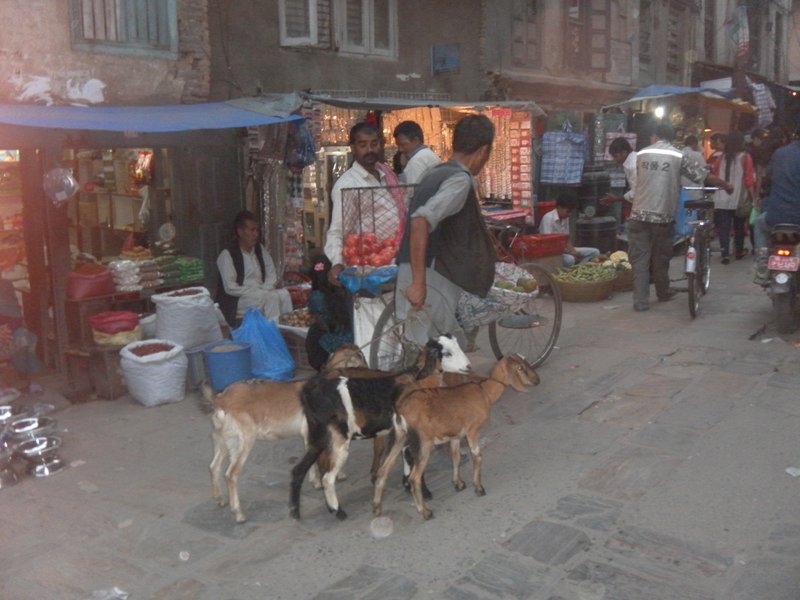 Image SAM_3959.JPG