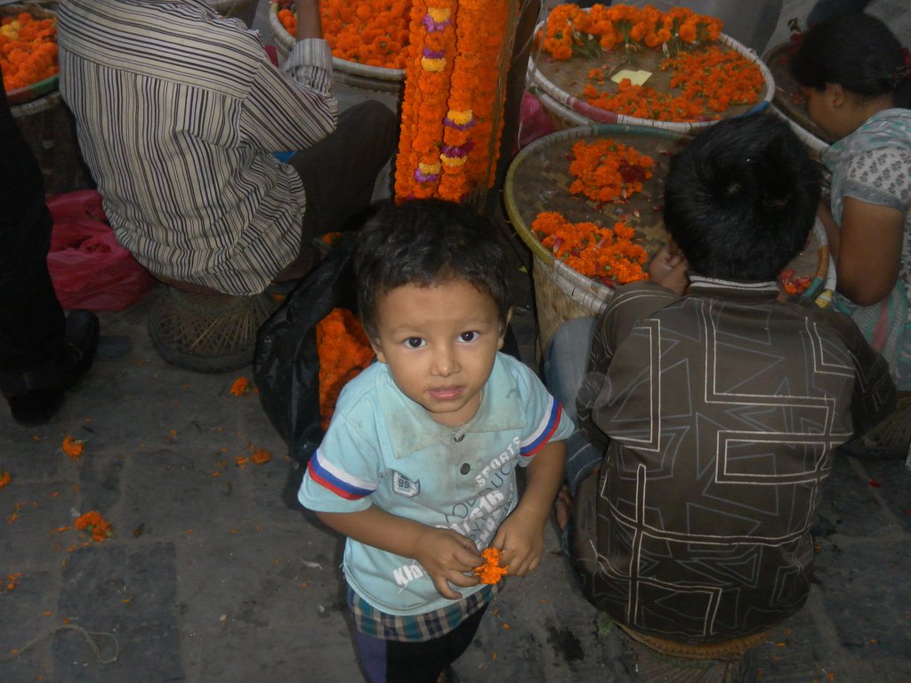 Image SAM_3966.JPG