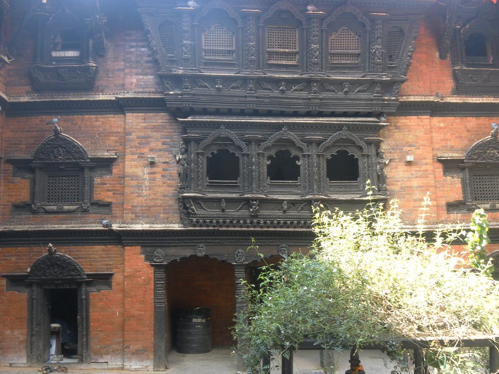 Image SAM_4045.JPG
