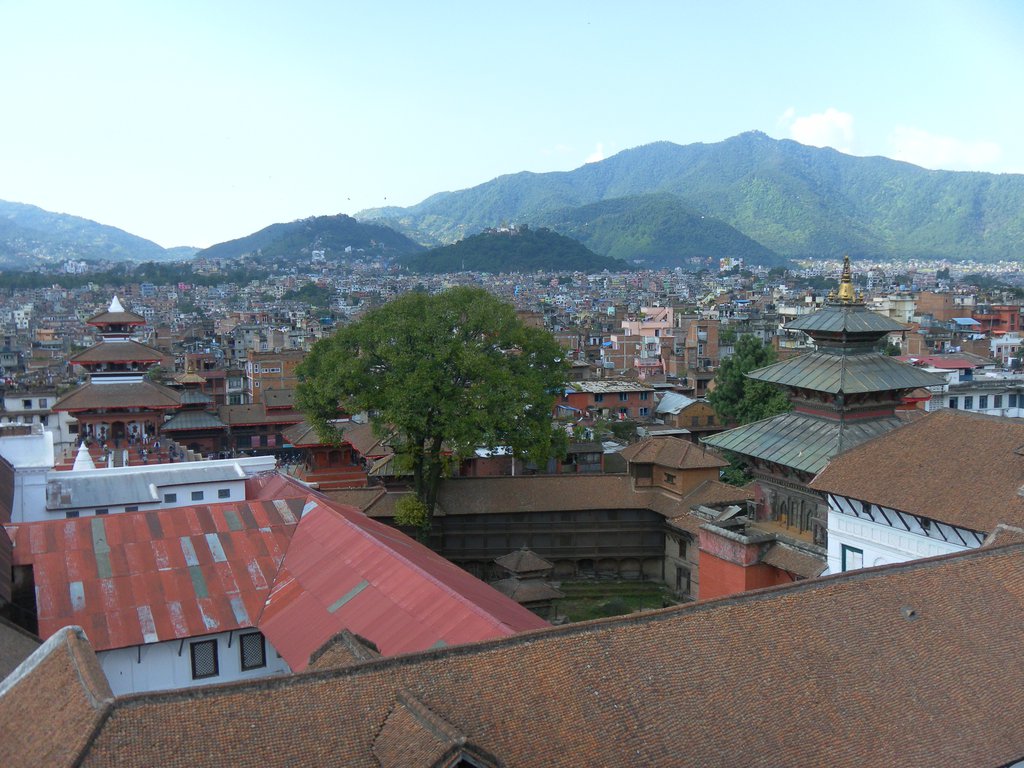 Image SAM_4093.JPG