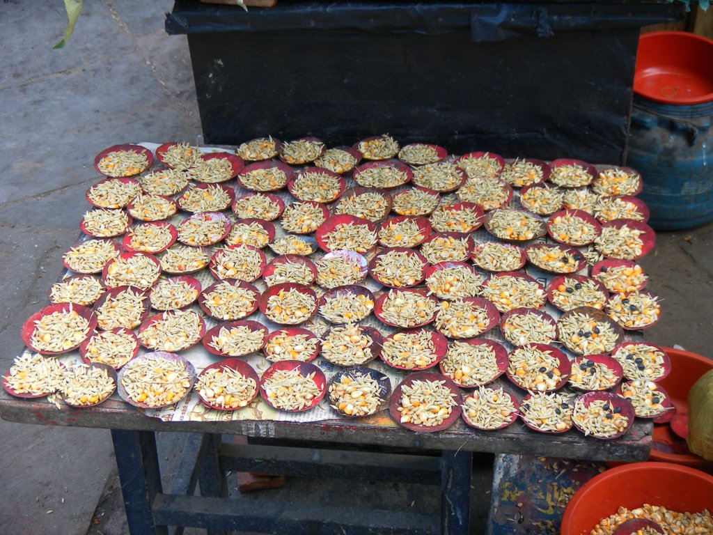 Image SAM_4100.JPG