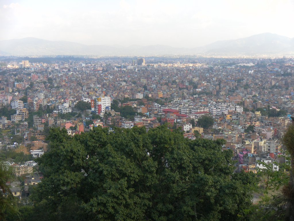 Image SAM_4118.JPG