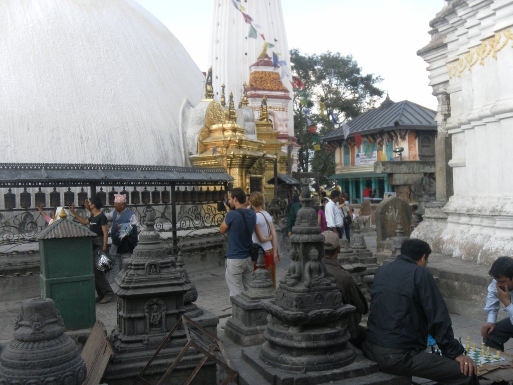 Image SAM_4130.JPG