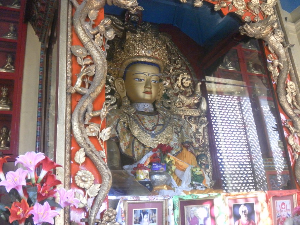 Image SAM_4138.JPG