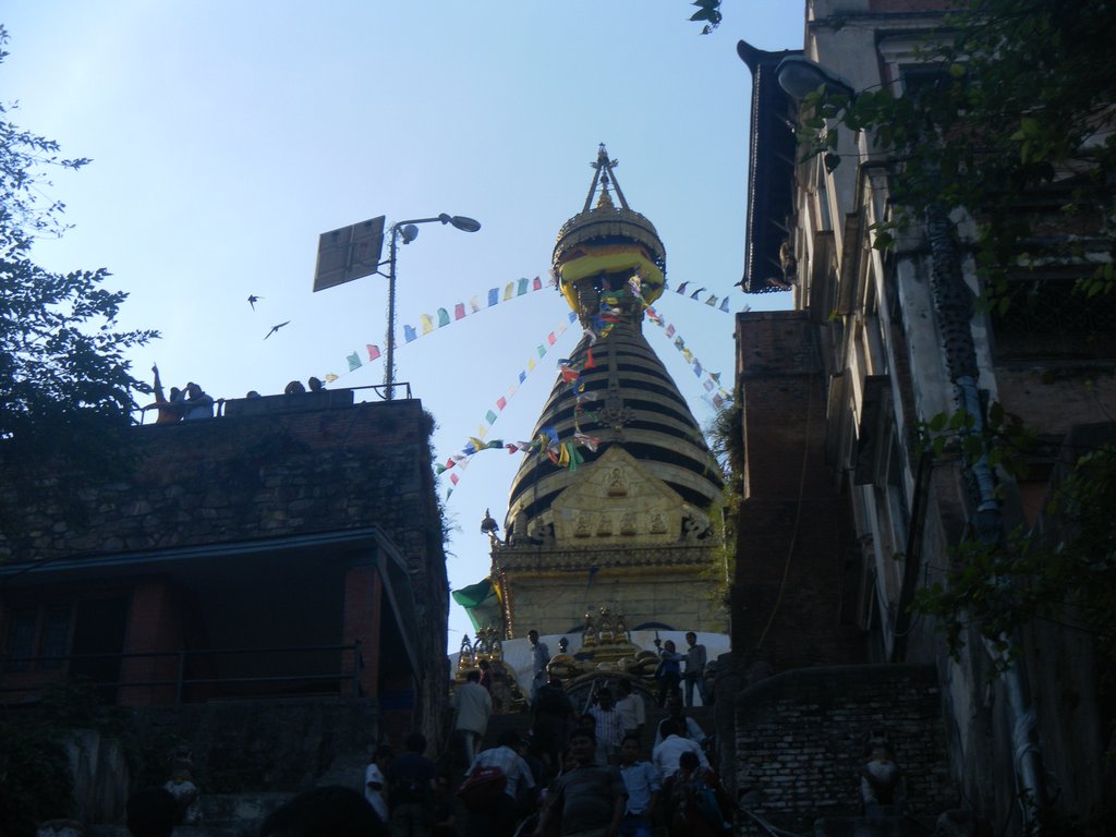 Image SAM_4143.JPG
