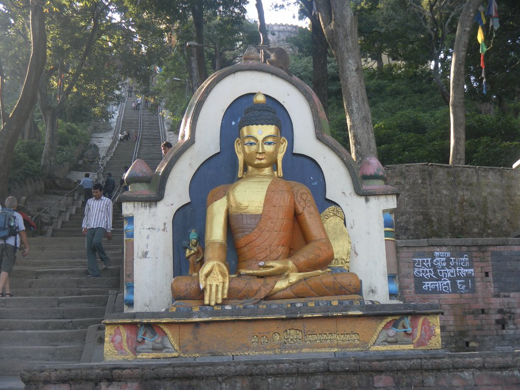 Image SAM_4145.JPG