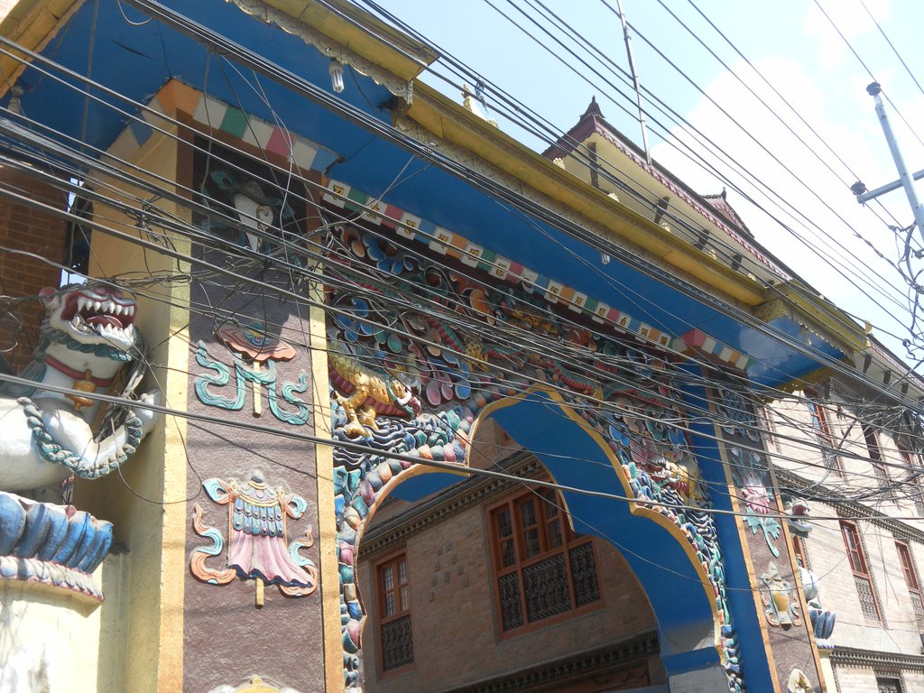 Image SAM_4153.JPG