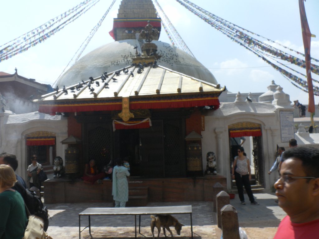 Image SAM_4160.JPG
