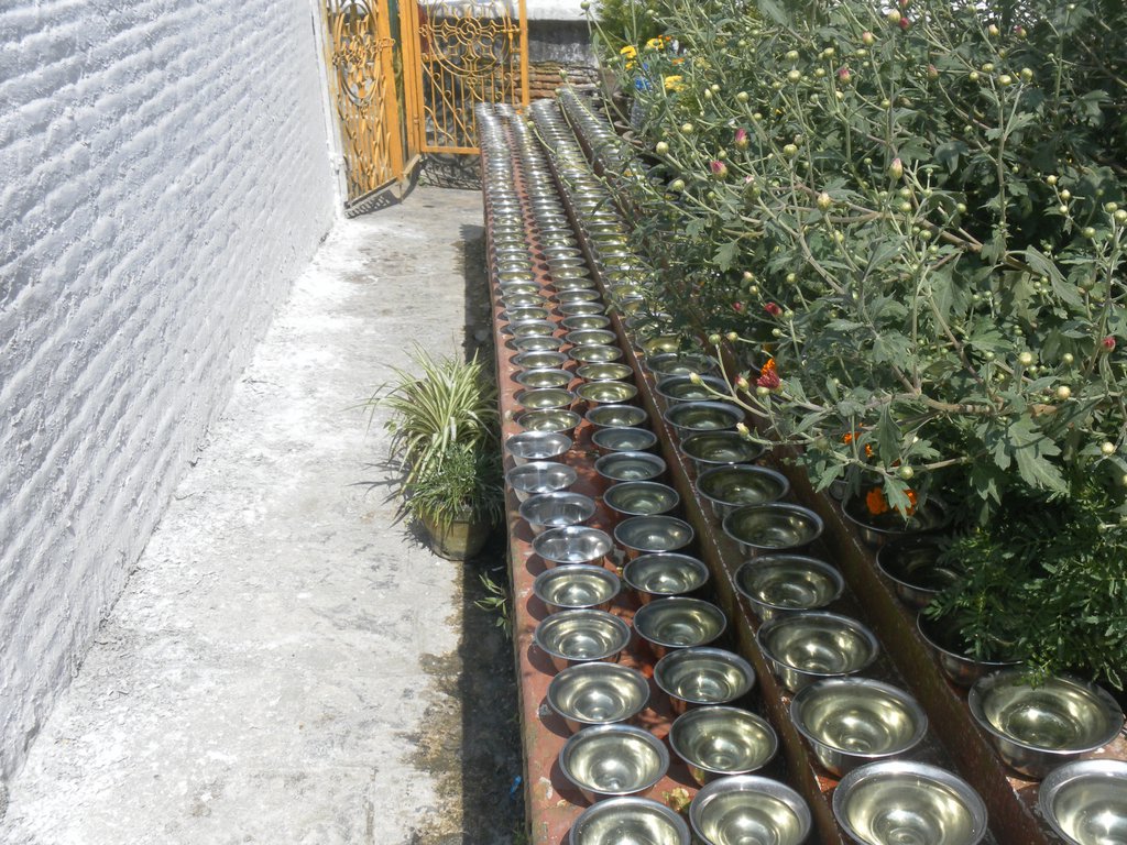 Image SAM_4175.JPG