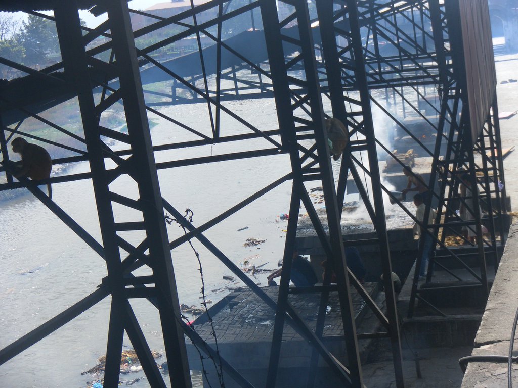 Image SAM_4183.JPG