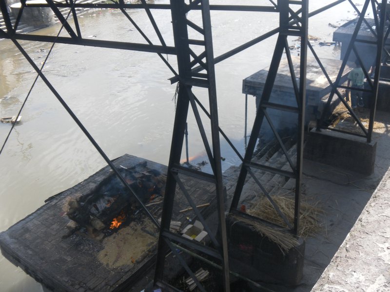 Image SAM_4184.JPG