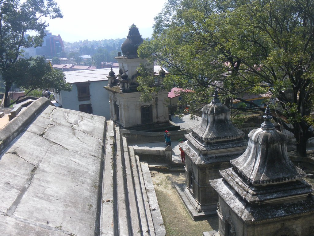 Image SAM_4196.JPG