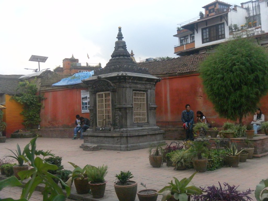 Image SAM_4280.JPG