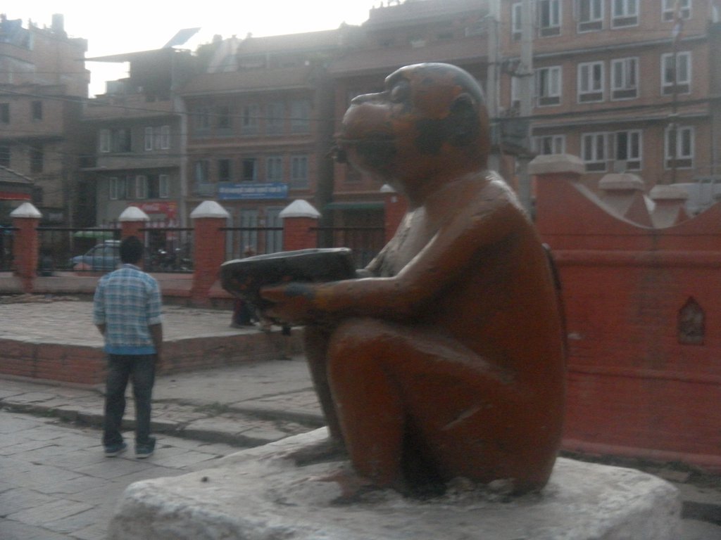 Image SAM_4309.JPG