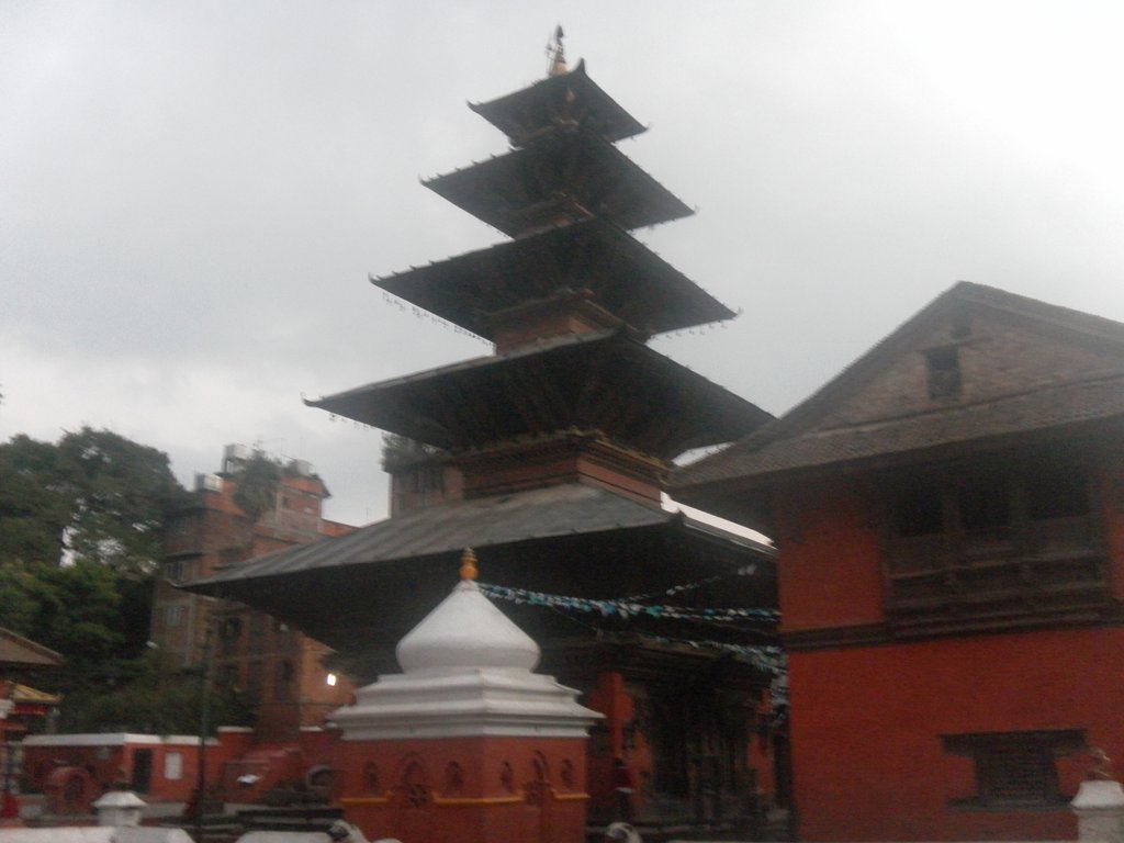 Image SAM_4310.JPG