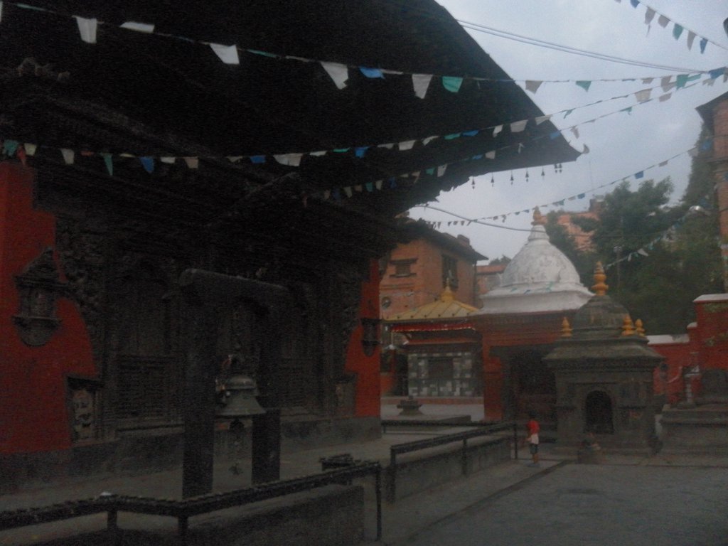 Image SAM_4314.JPG