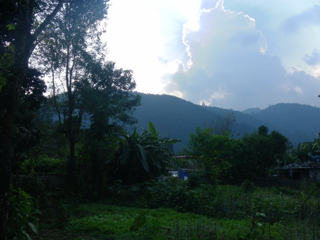 Image SAM_4317.JPG