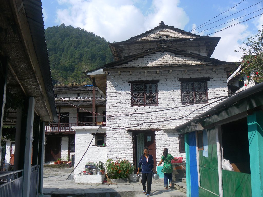 Image SAM_4336.JPG